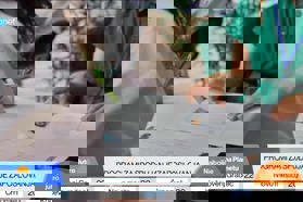 Preverite programe za spodbujanje zaposlovanja v EU